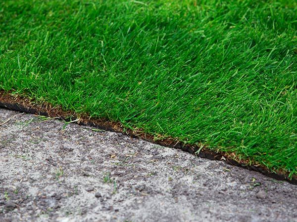 Landscaping — Lawn Grass in Broken Arrow, OK