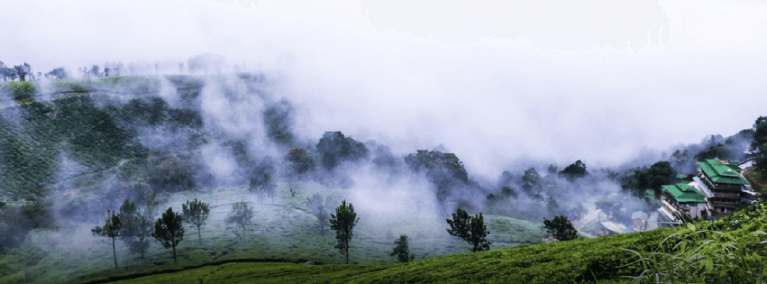 perfect tea plantation resort
