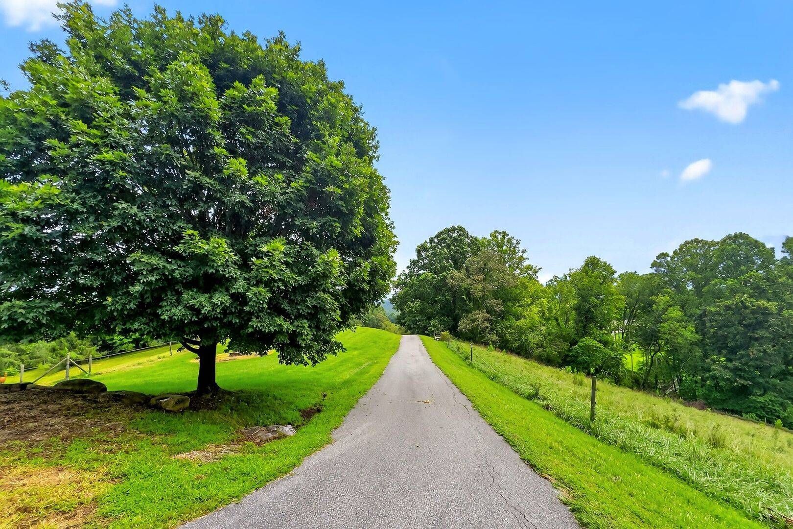 Gravel path leading through a grassy area, flanked by trees under a blue sky.