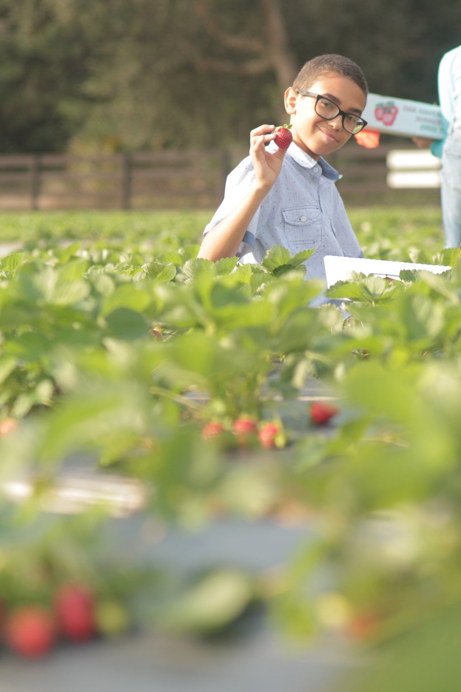 FAQ's Oak Haven Farms & Winery