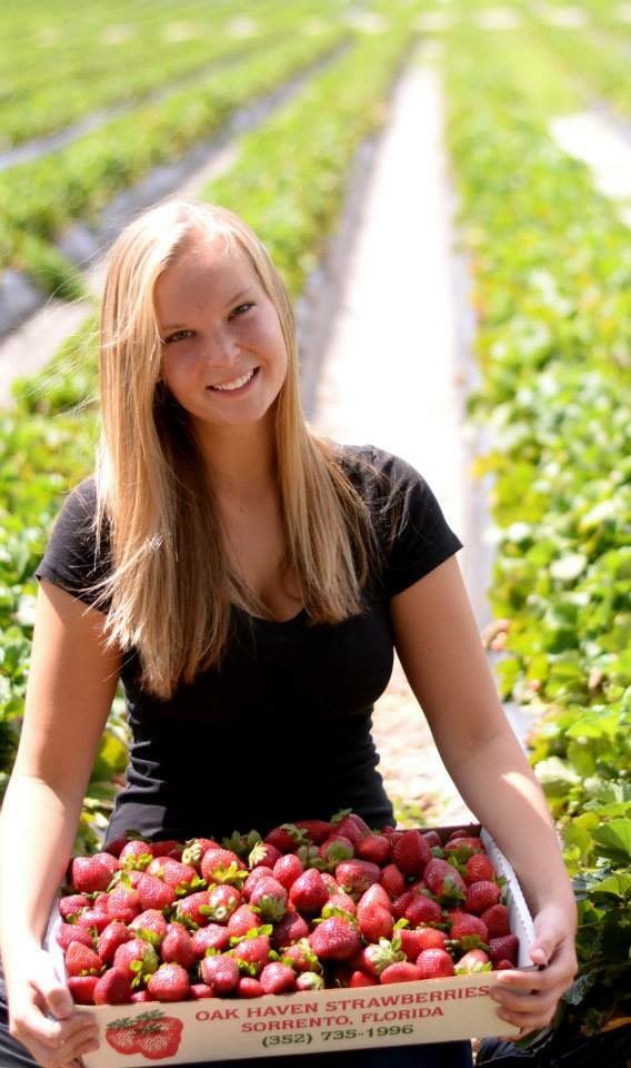 About Oak Haven Farms & Winery Creating a Legacy