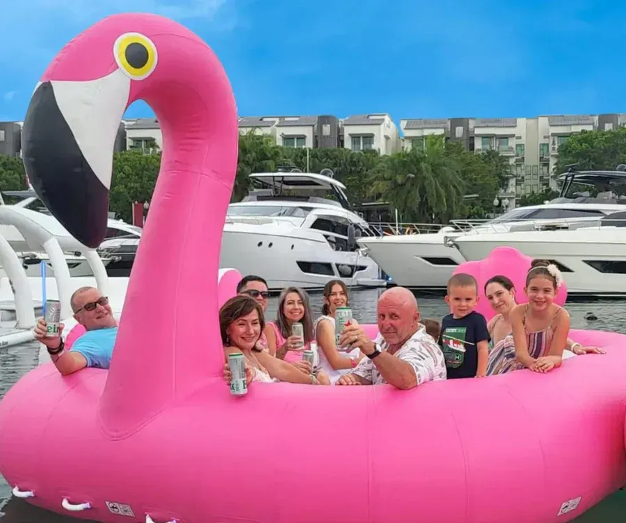 The Pink Flamingo