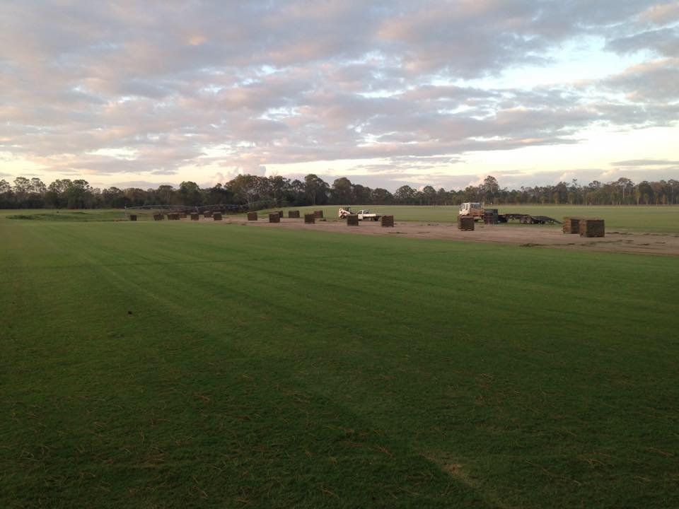Turf Gympie Turf Near Me Wide Bay Turf