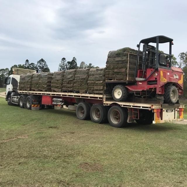 Turf Bundaberg Wide Bay Turf