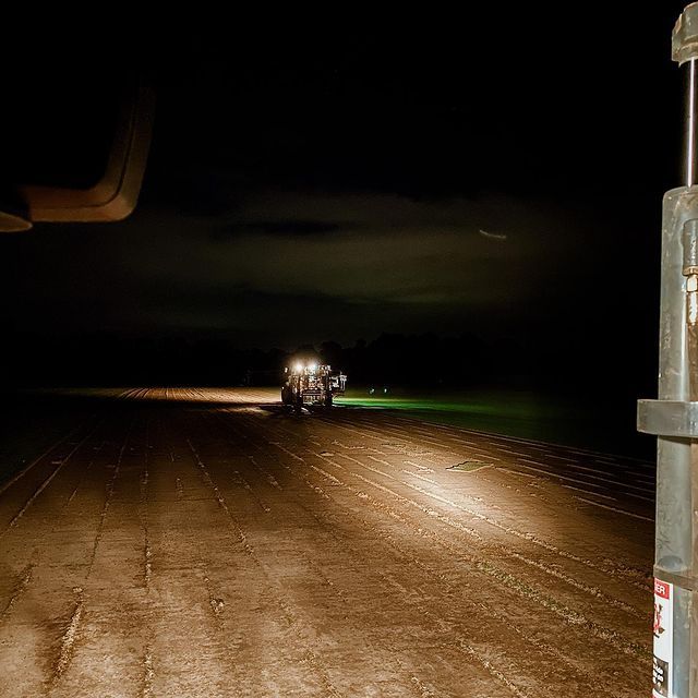 Turf In Hervey Bay Wide Bay Turf