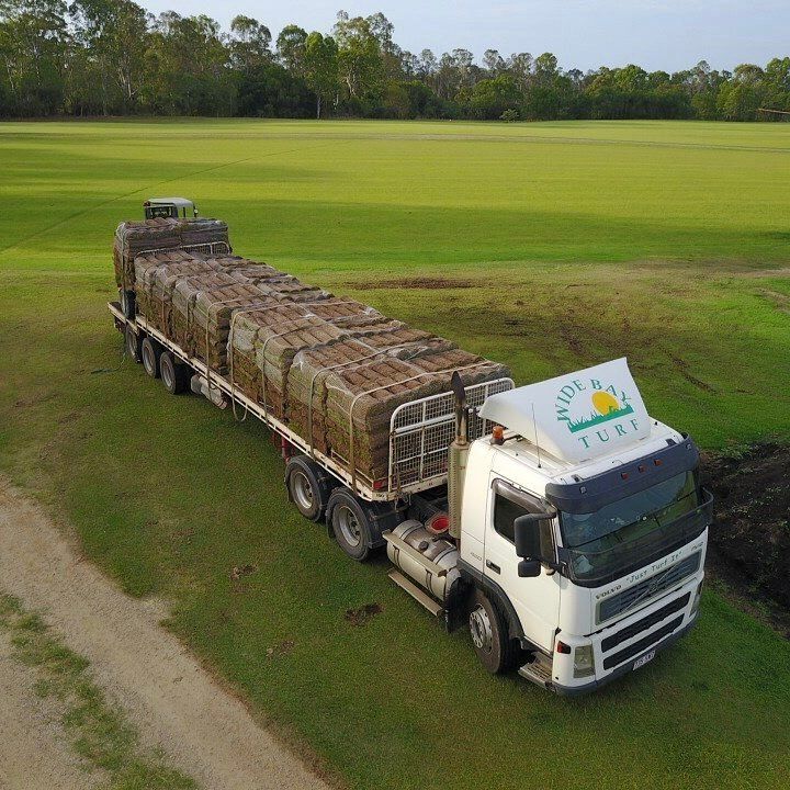 Turf Supply Hervey Bay Wide Bay Turf
