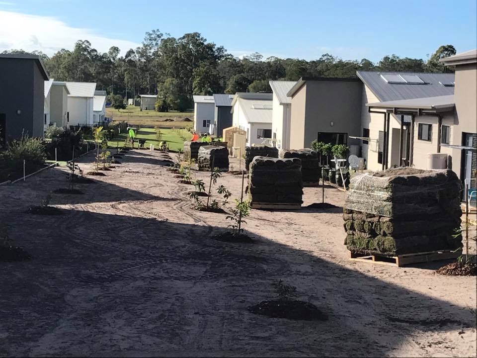 Turf Gympie Turf Near Me Wide Bay Turf