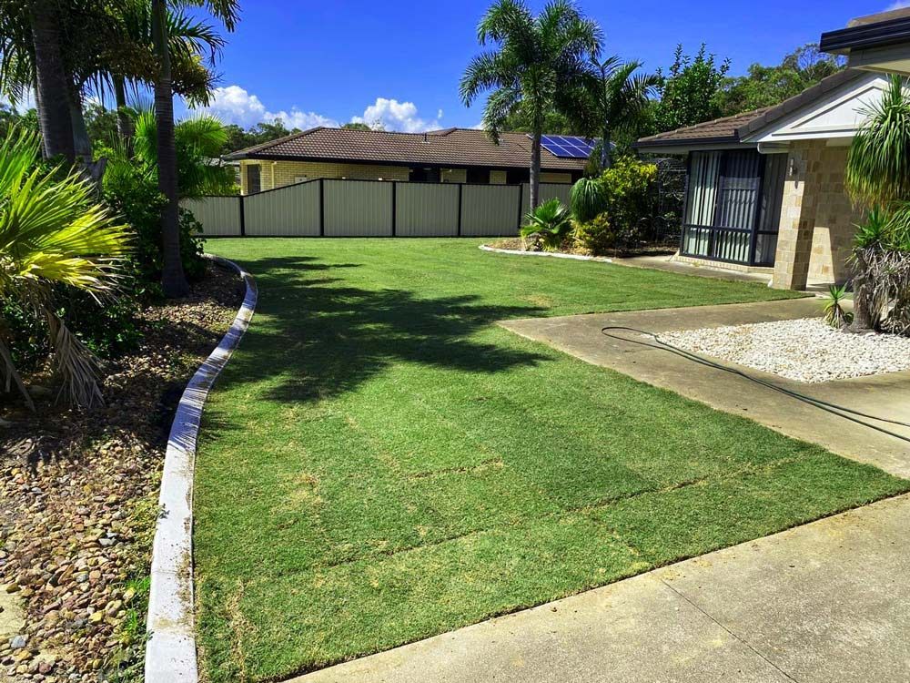 A Beautiful Residential Lawn