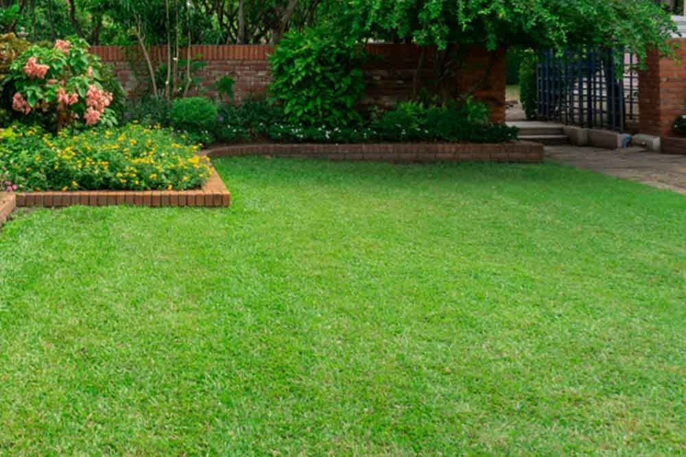 Beautiful Garden With Smooth Grass Lawn
