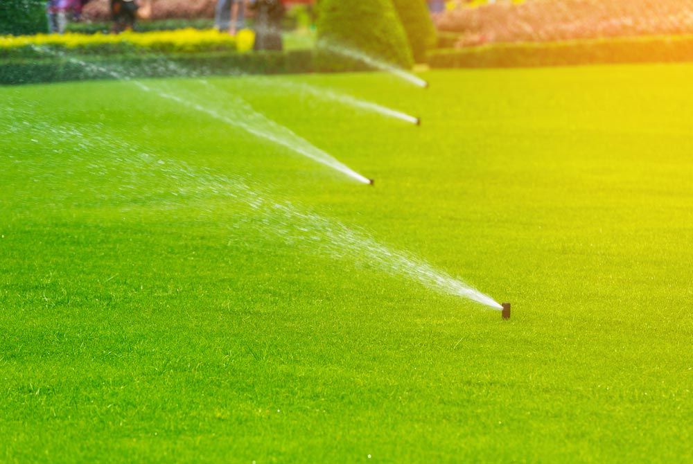 Caring for your Buffalo Grass - Sprinklers