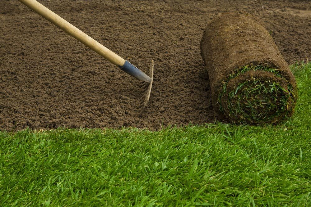 Preparing A Soil For Laying Turf