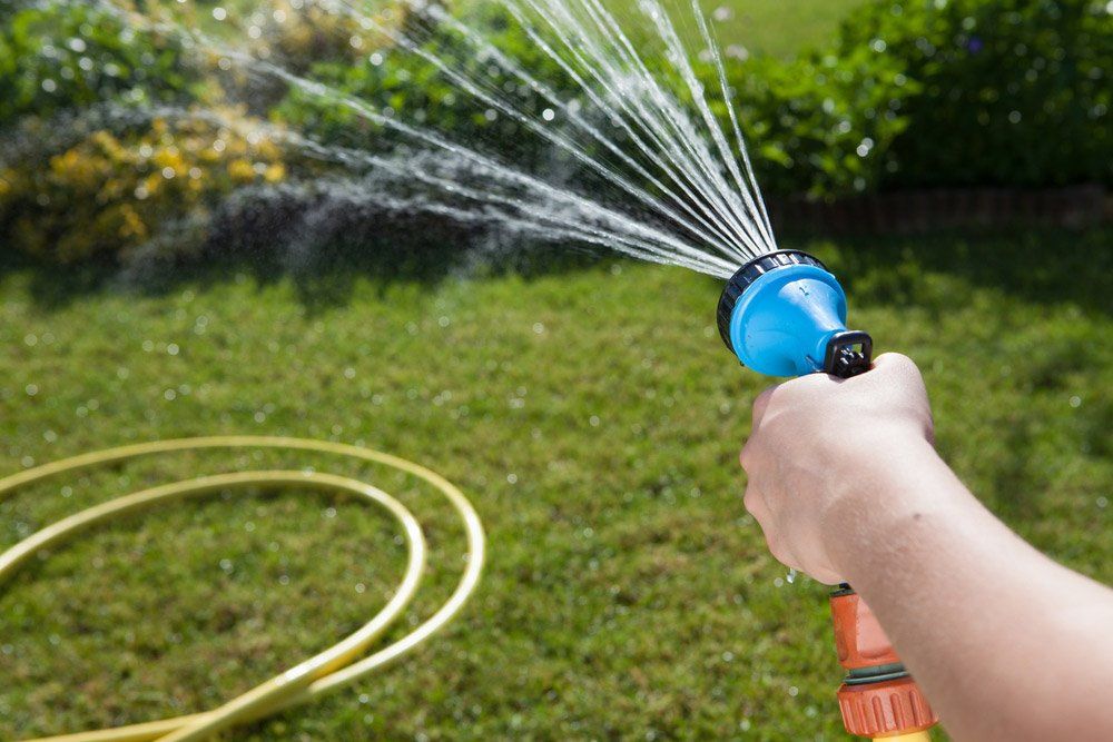 The Best Time To Water Your Lawn