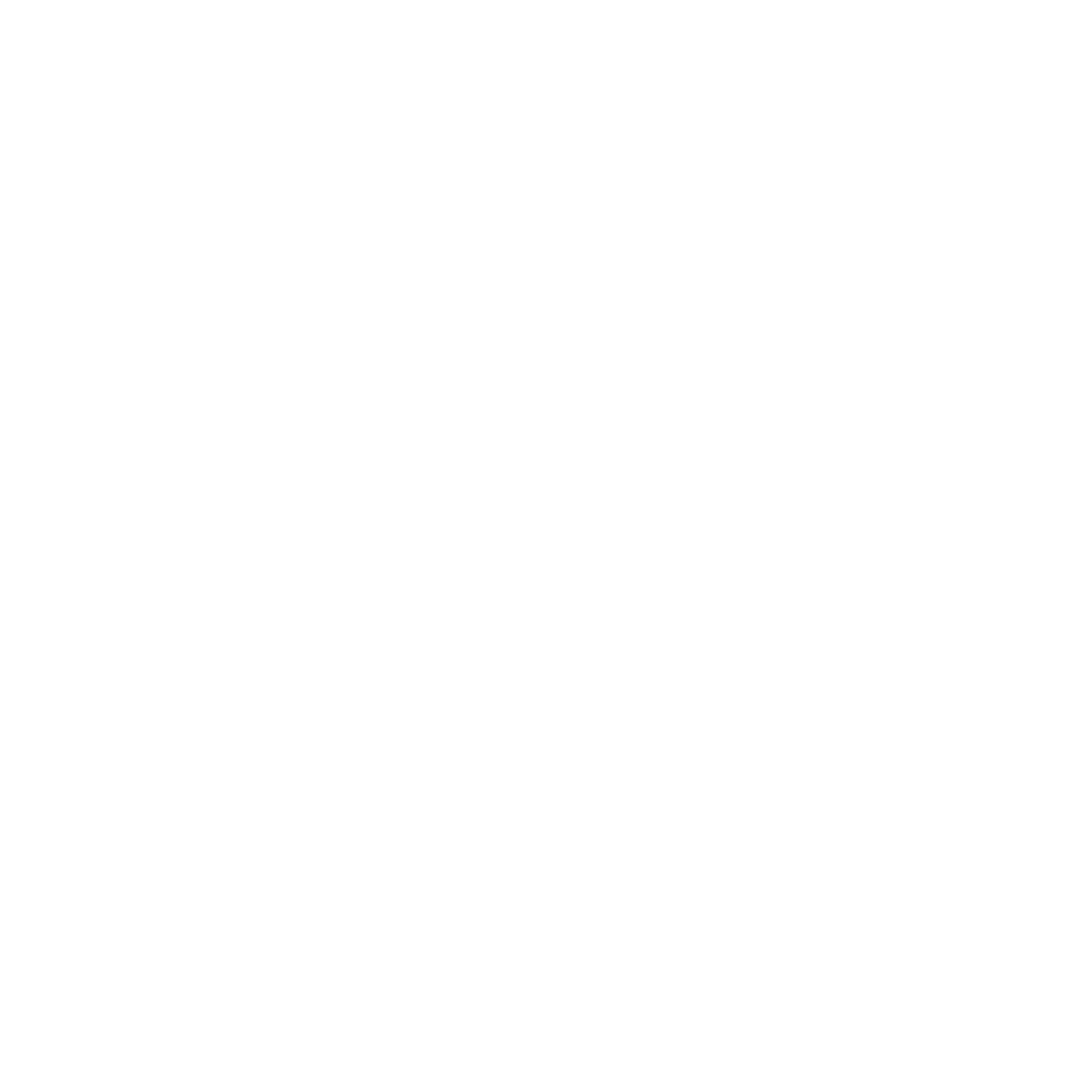 Junk N Stuff logo