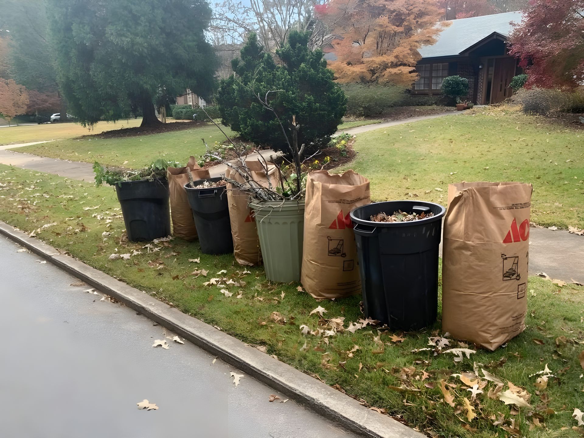 Trash and yard waste bags lined up along a curb on a quiet residential street in autumn.
