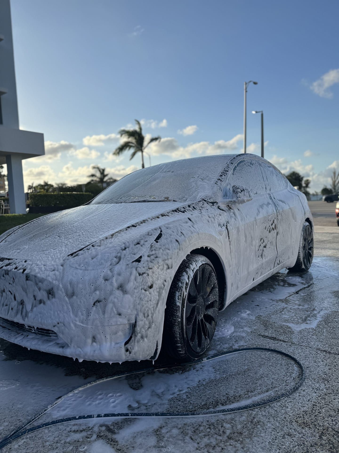 Black Tesla covered in white foam, being washed outside on a sunny day.