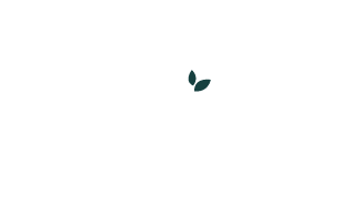 Park Dentistry For Kids