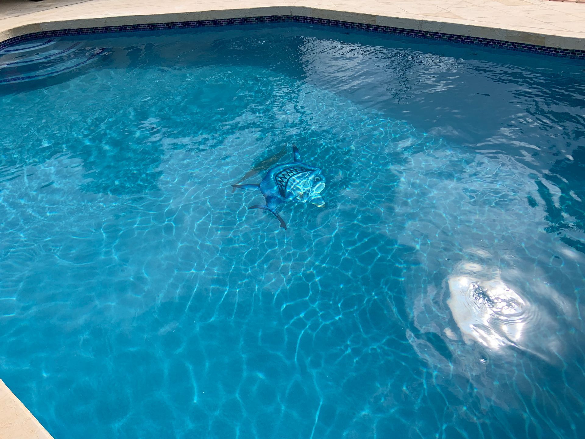 A person is swimming in a large swimming pool.