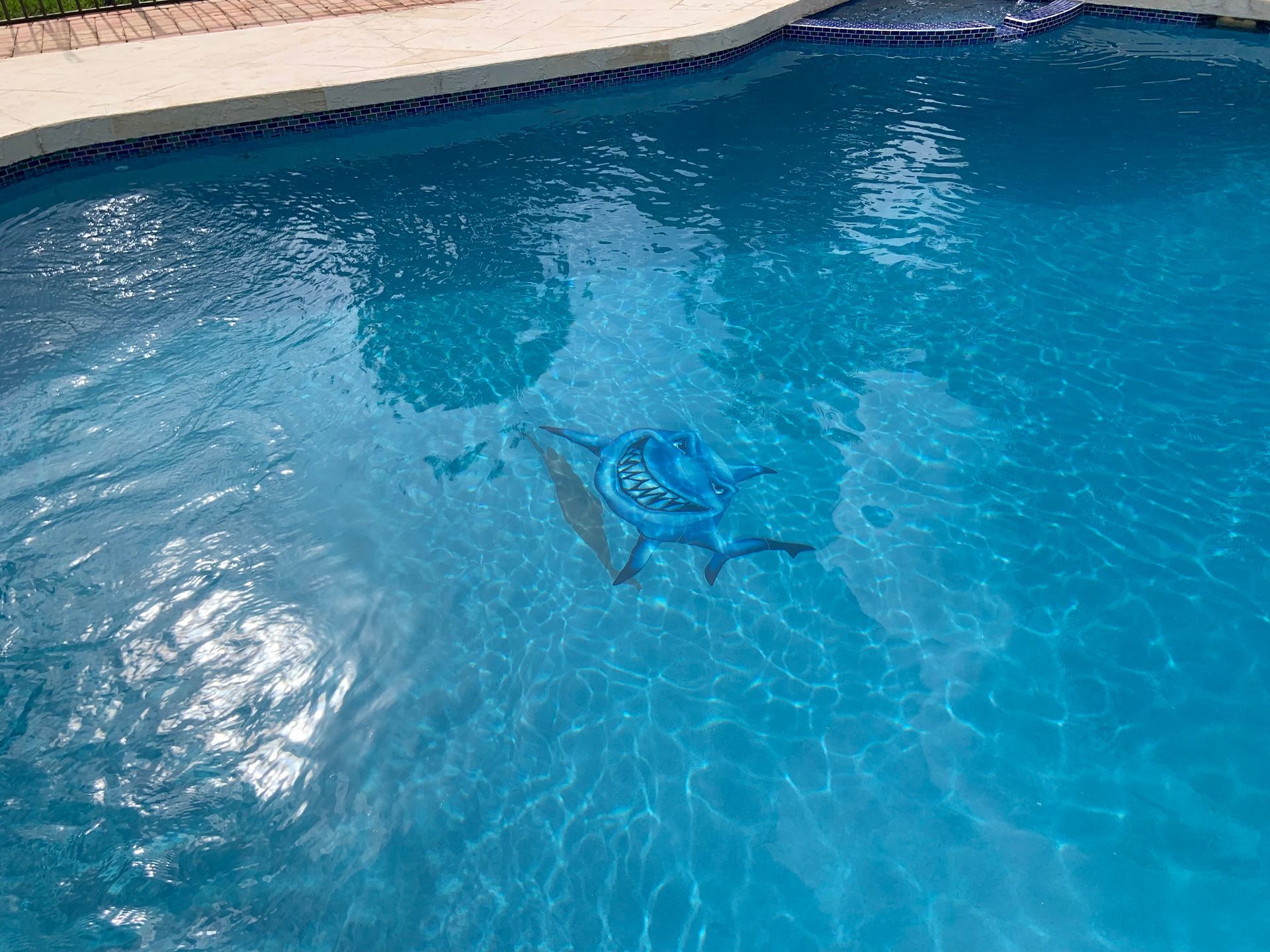 A blue dolphin float is floating in a swimming pool.
