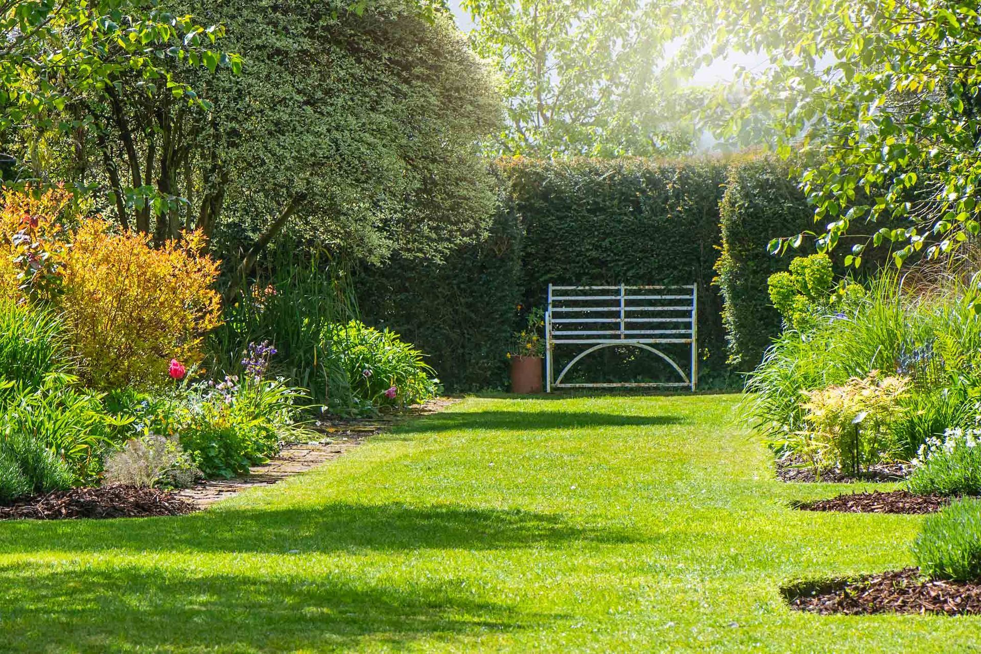 A Rusty Wrought Iron White Bench On The Grass In A Summer — Wilmer, AL — Coastal Tree Co.