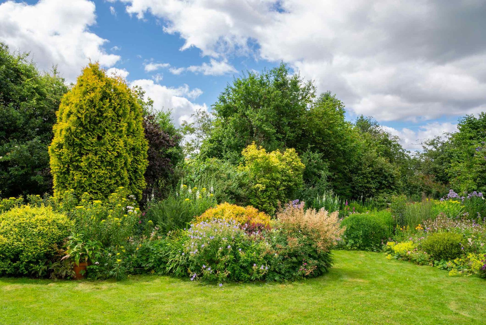 Man Trimming — Wilmer, AL — Coastal Tree Co.