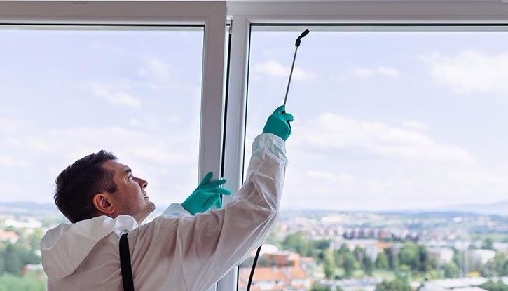 Pest Control - Panama City, FL