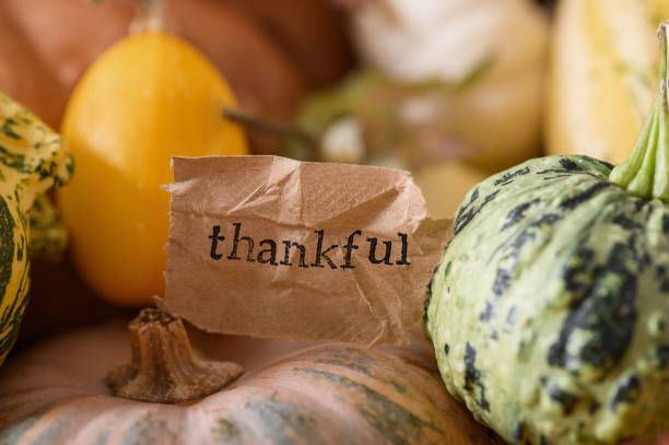 Arrangement of colorful gourds with a crumpled paper that reads 
