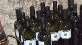 cantina di vini