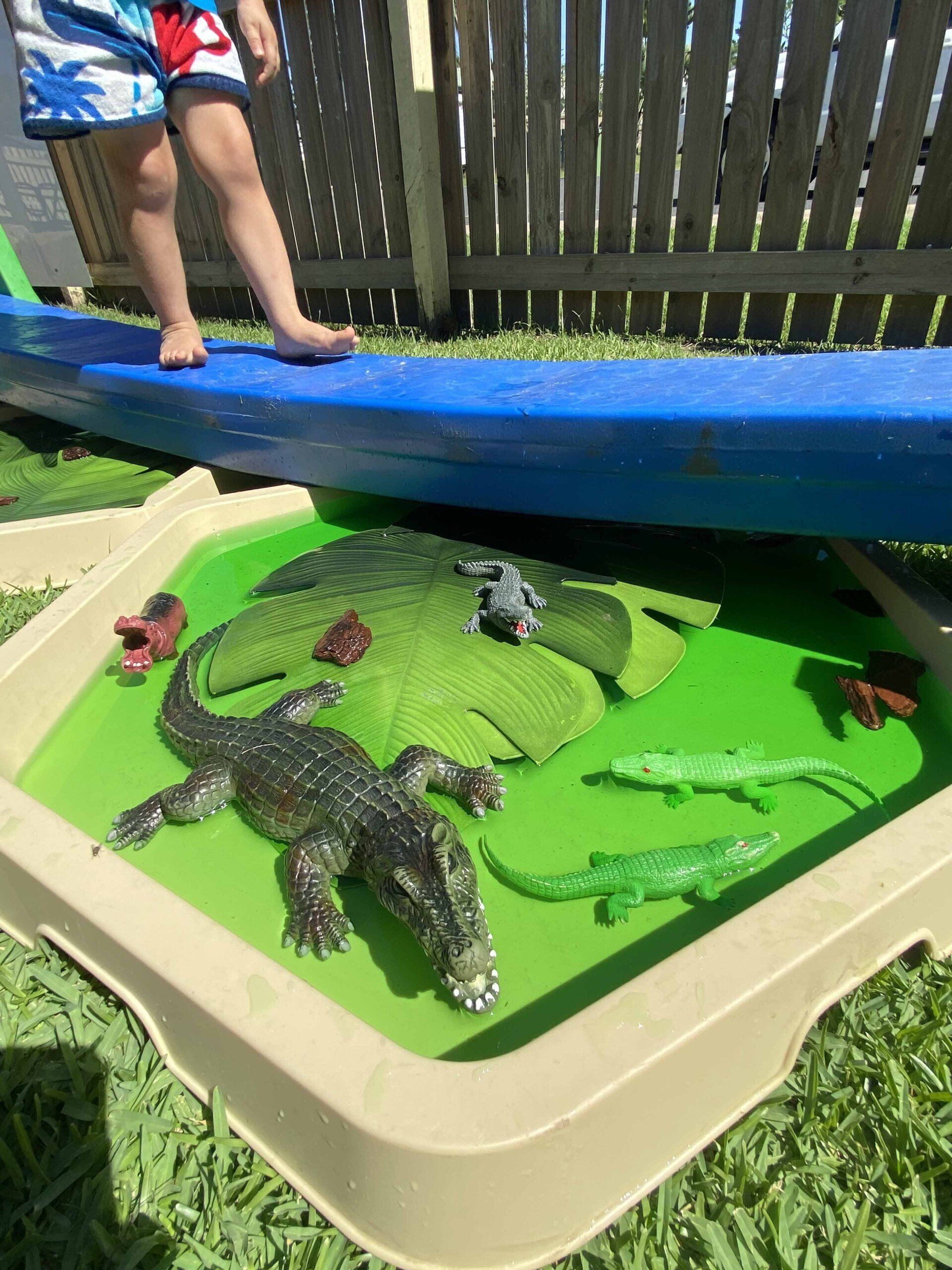 Animal Toys — Emu Park, QLD — Coastal Kids