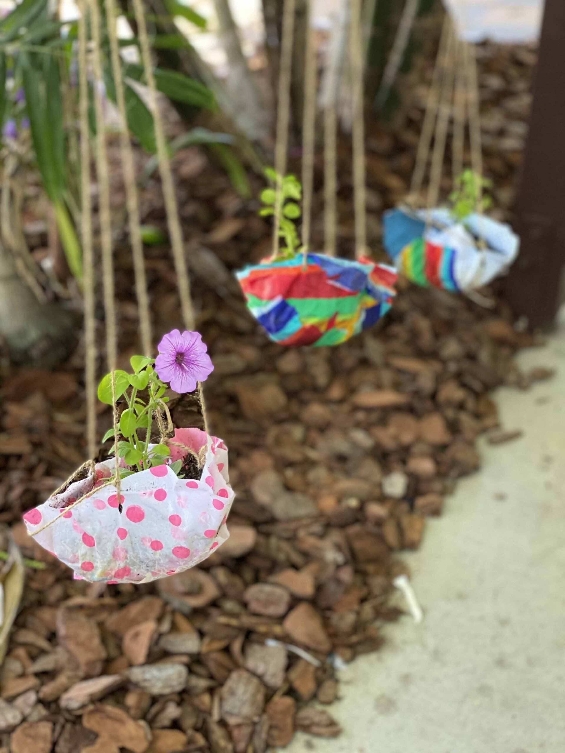 Beautiful Flower — Emu Park, QLD — Coastal Kids