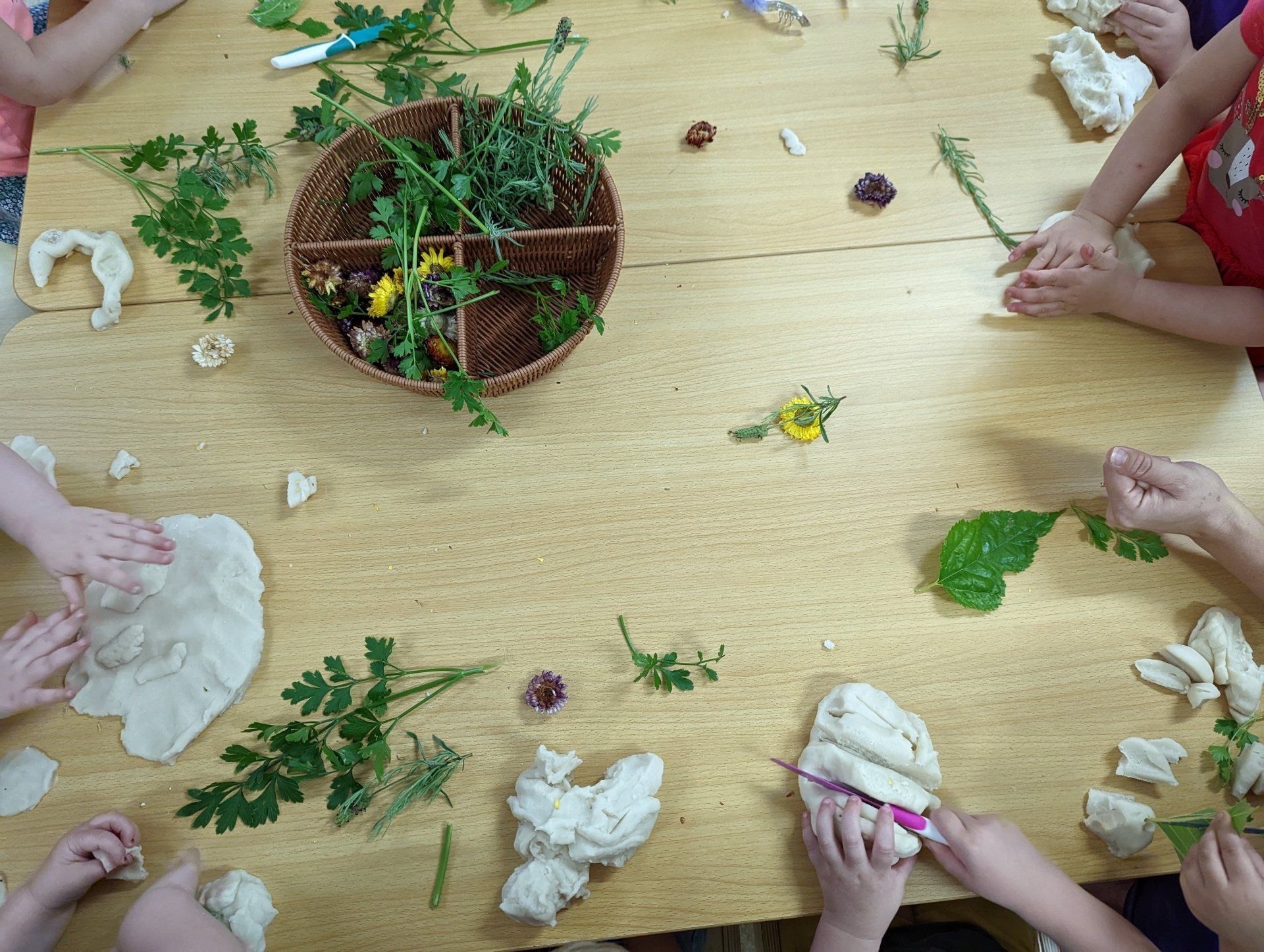 Leaves and Clays on the Table — Emu Park, QLD — Coastal Kids