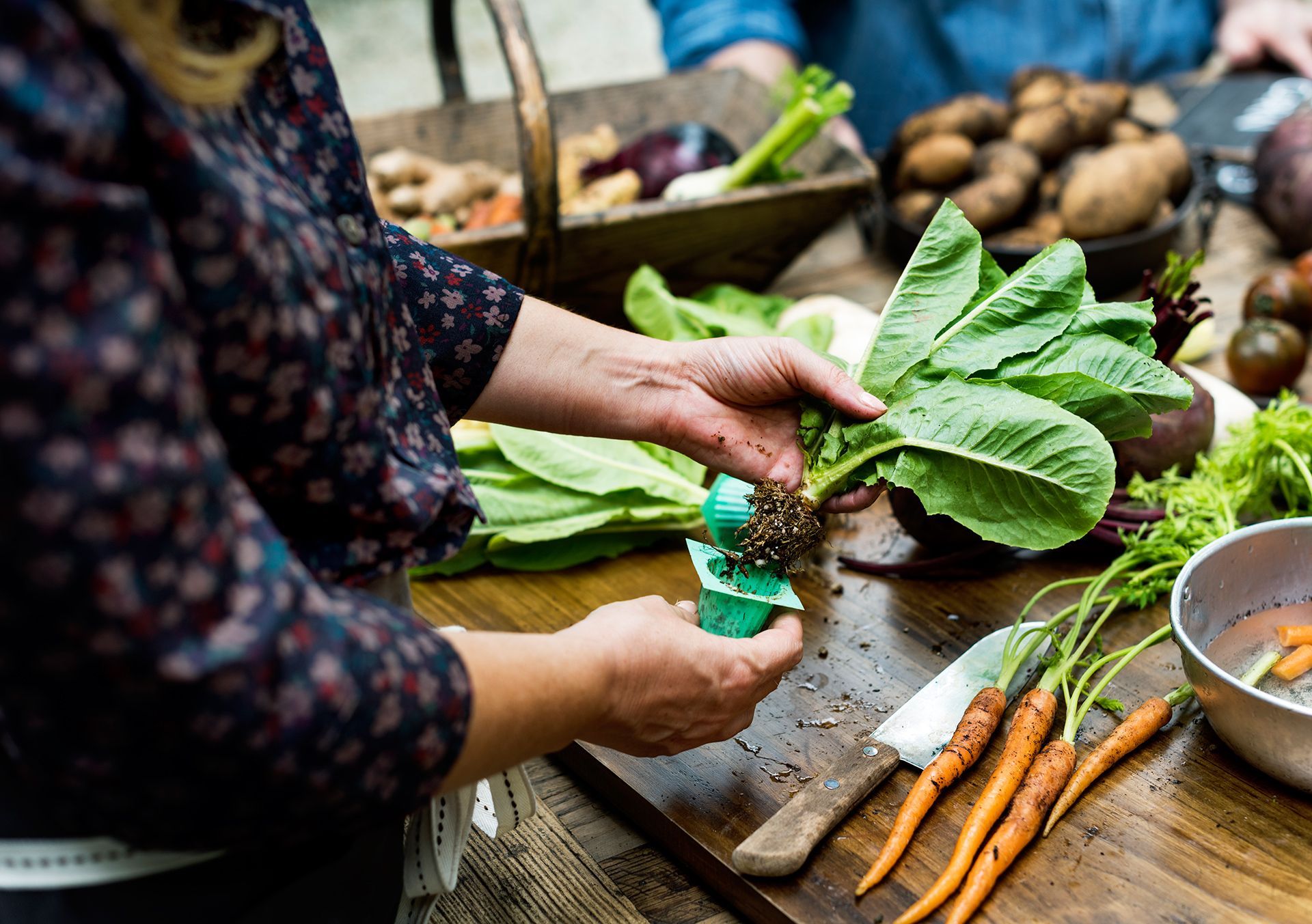 azienda agricola con prodotti genuini