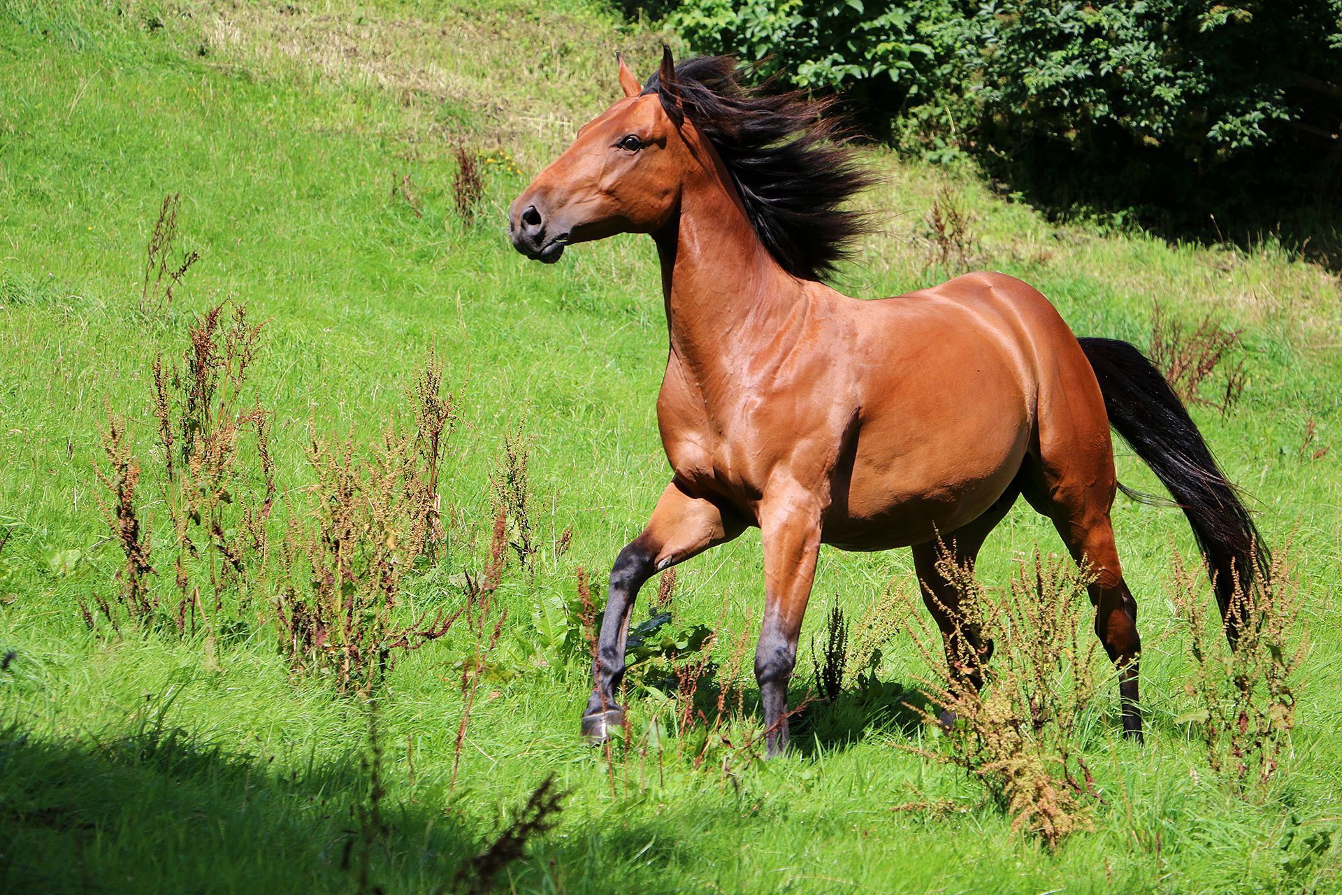 servizi della struttura