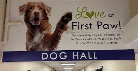 Humane Society Project