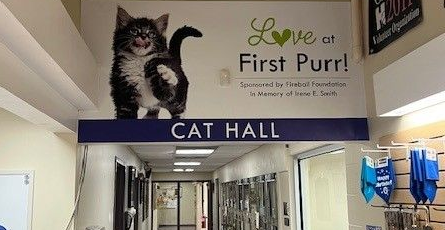 Humane Society Project