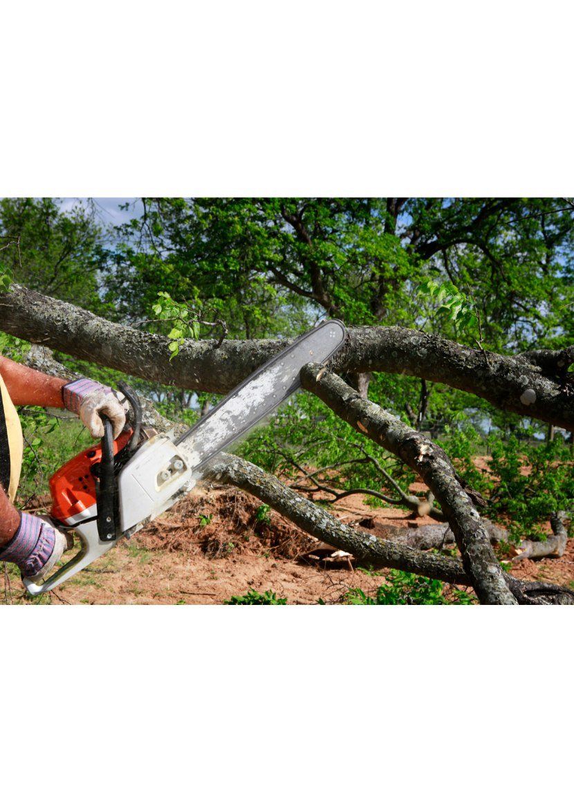 Tree Pruning Using a Chainsaw