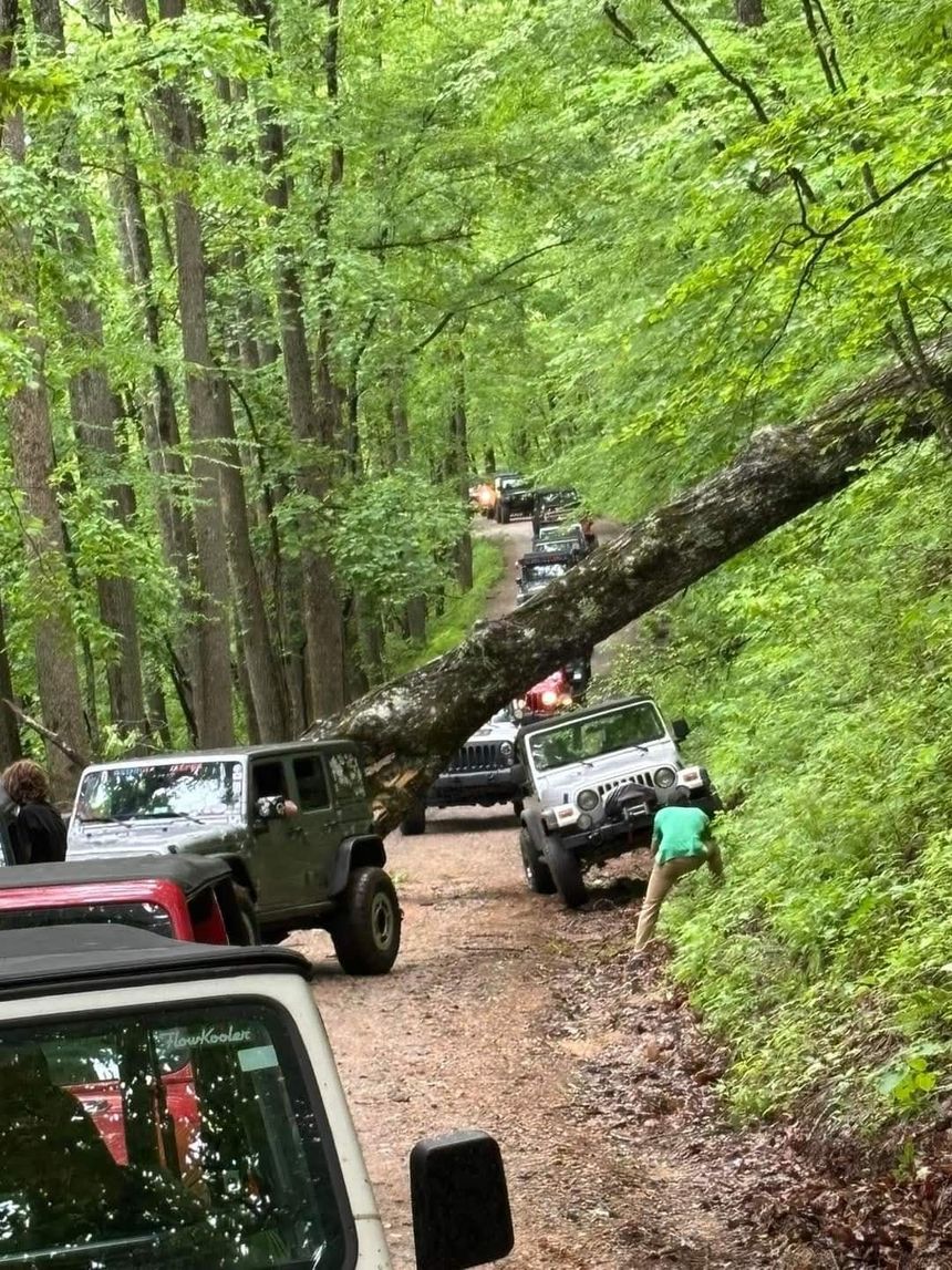 A group of jeep 's are parked on the side of a dirt road.