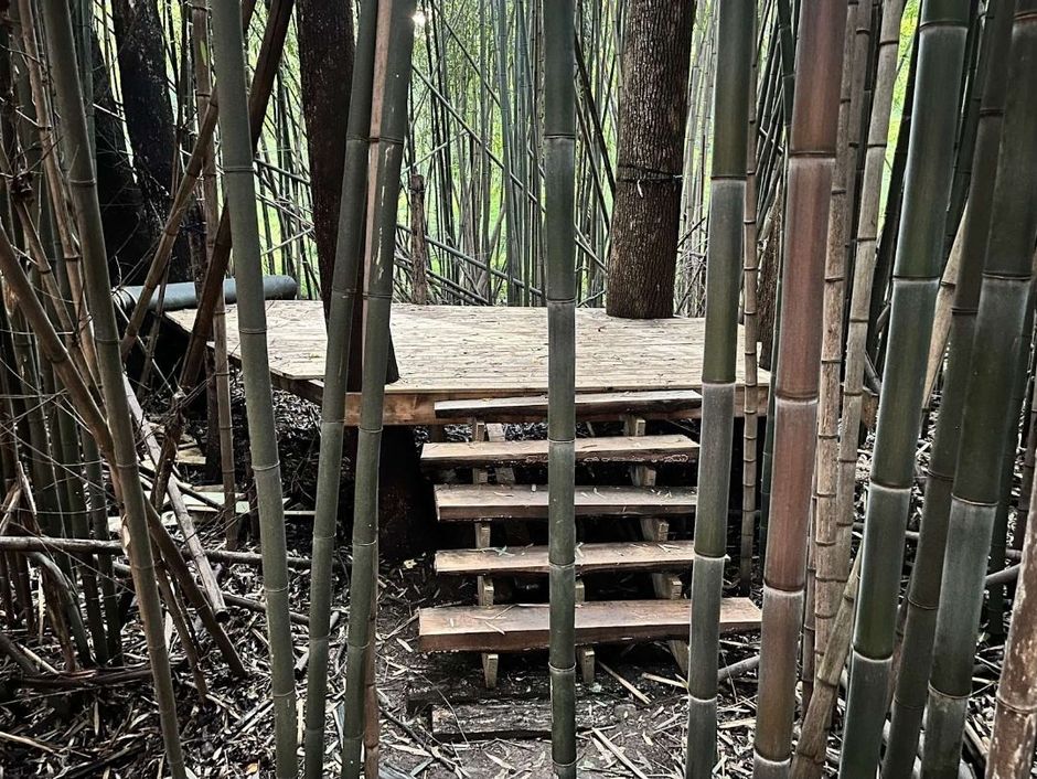 A group of people are standing next to a river in the woods.