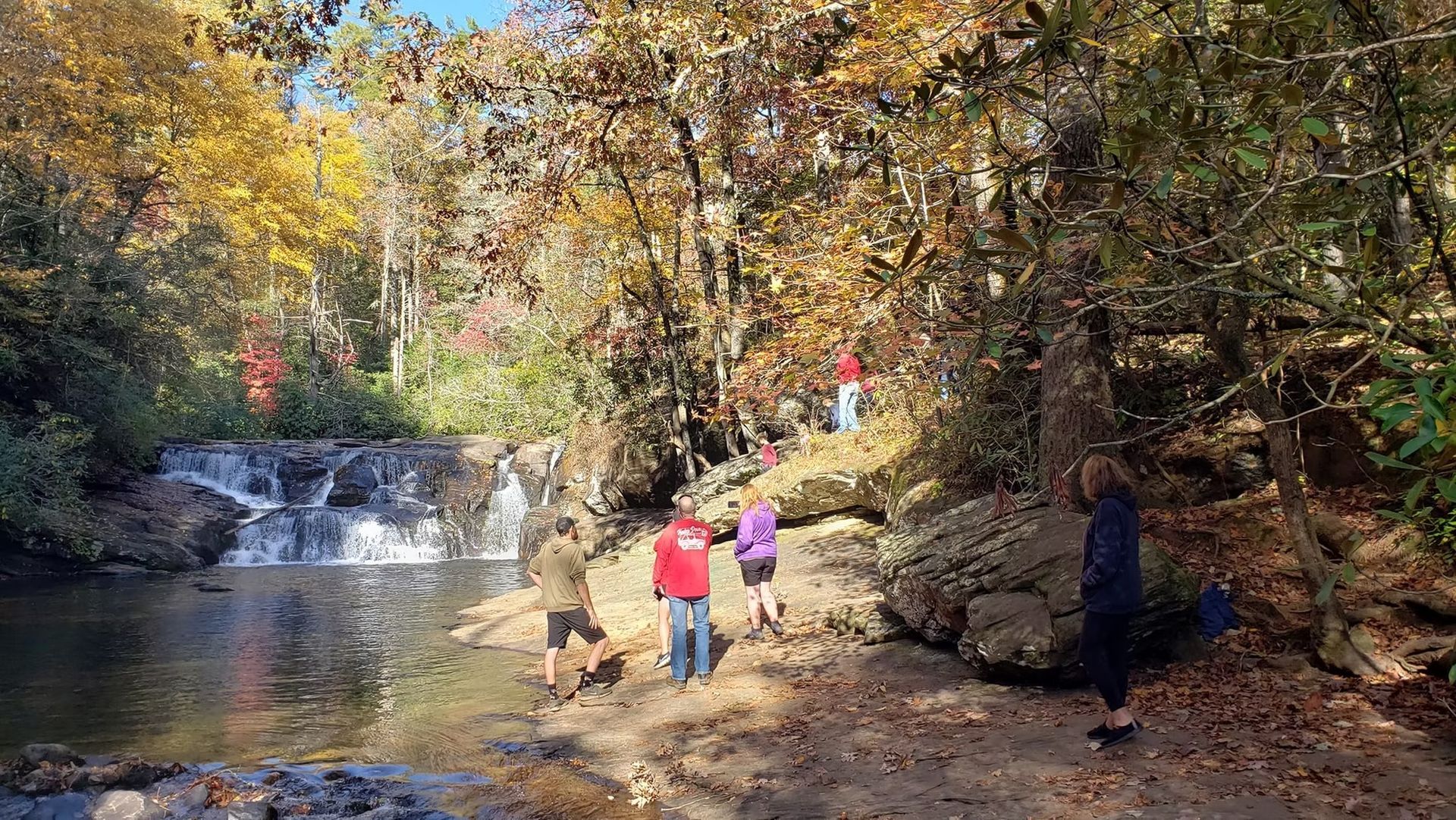 A group of people are standing next to a river in the woods.