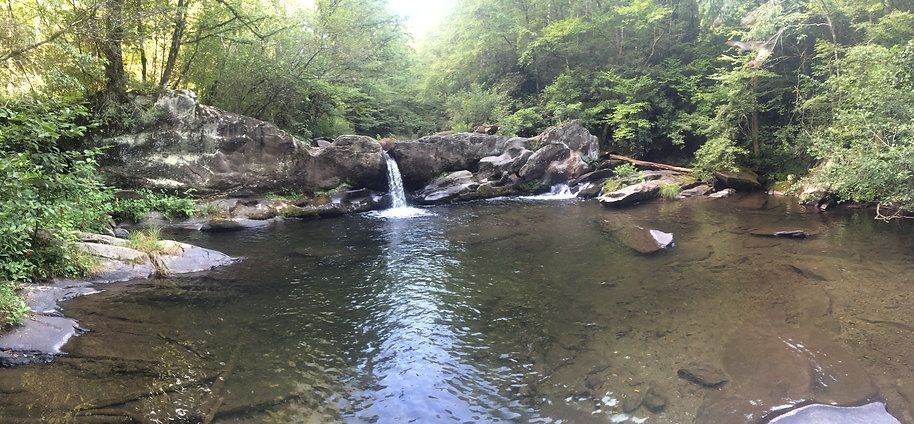 There is a small waterfall in the middle of a river surrounded by trees.