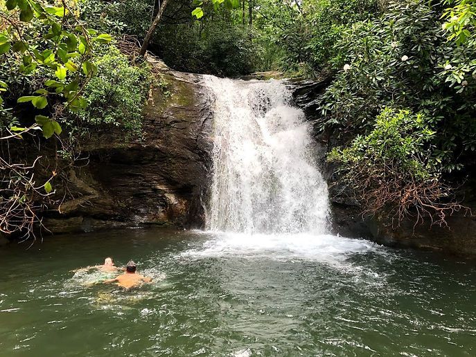 A man is swimming in a pond next to a waterfall.