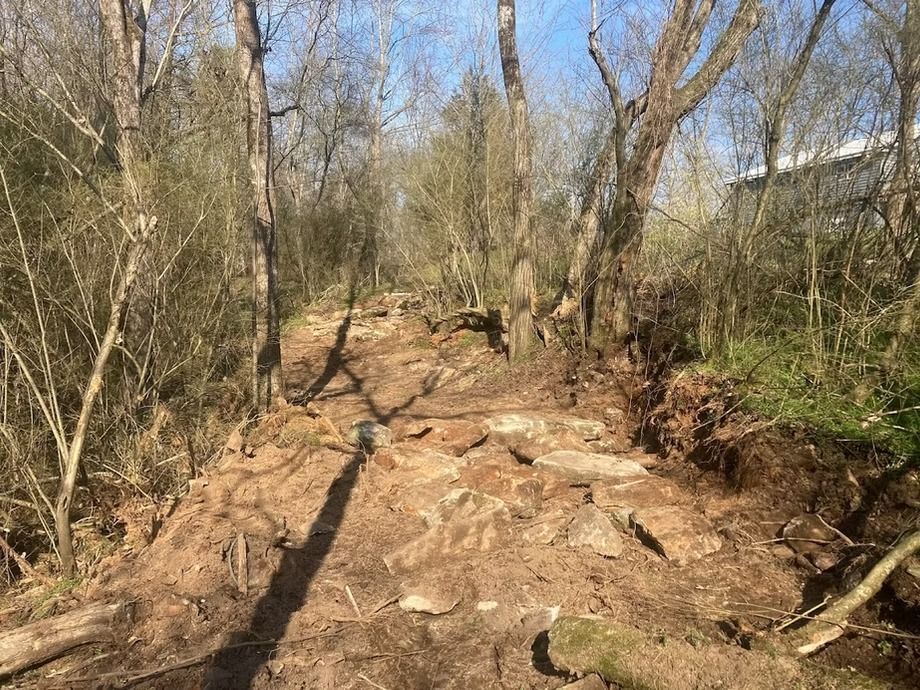 A dirt path in the middle of a forest with trees and rocks.
