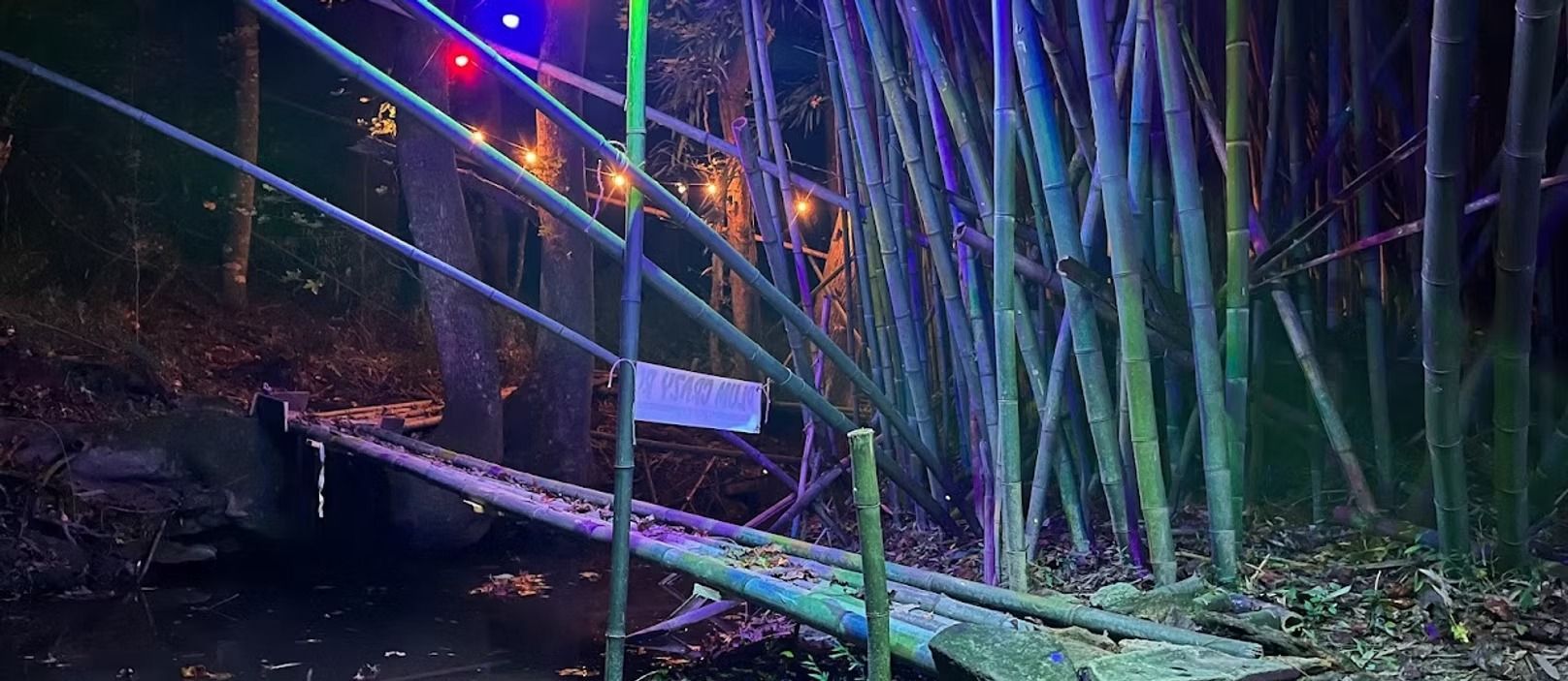 A suspension bridge in the middle of a forest at night.