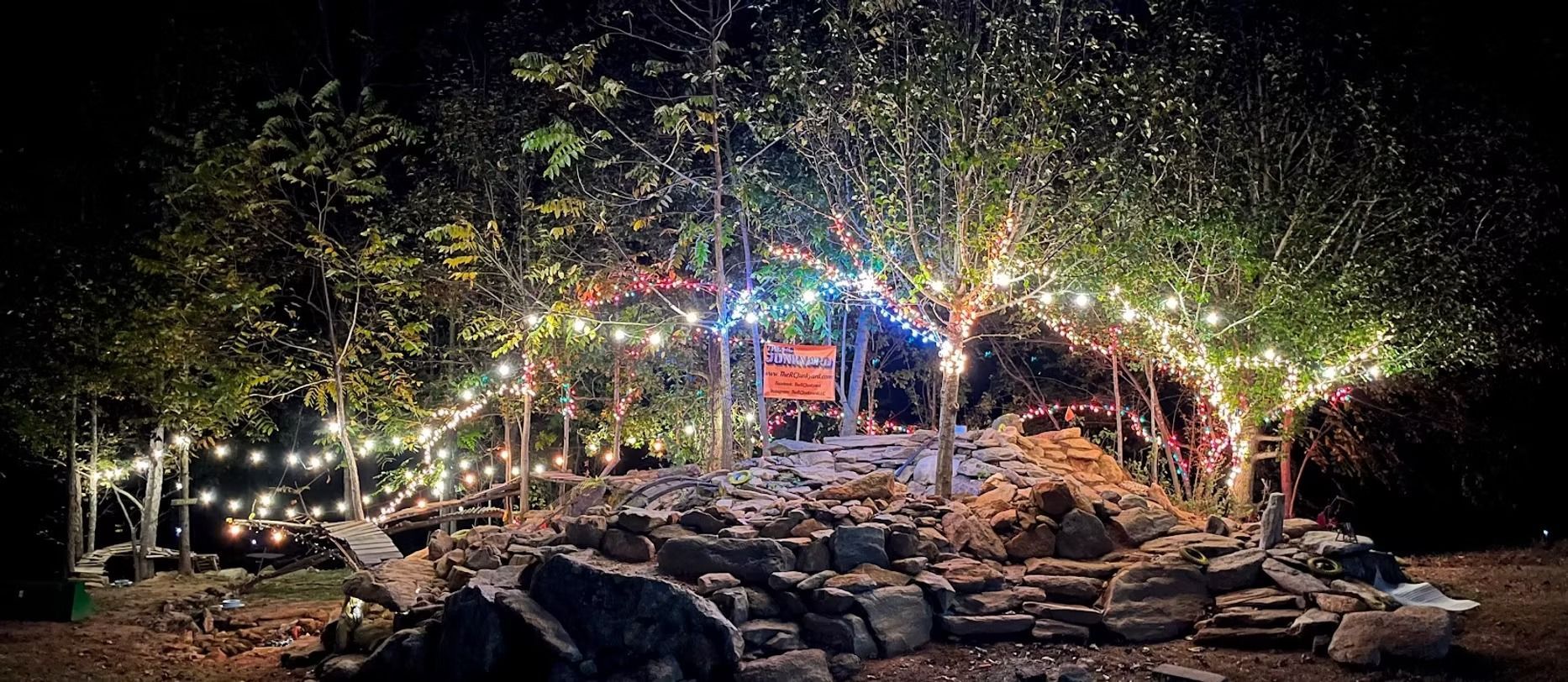 A group of lights are hanging from trees in a forest at night.