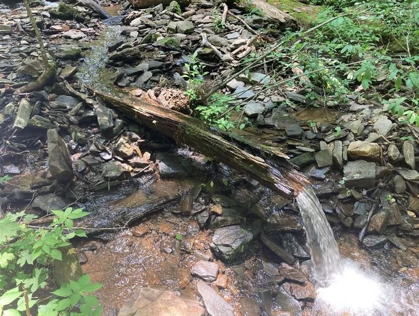 A stream of water is coming out of a log in the woods.