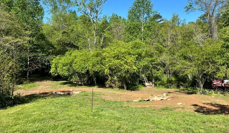 A lush green field surrounded by trees on a sunny day.