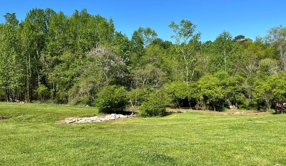 A large grassy field with trees in the background.