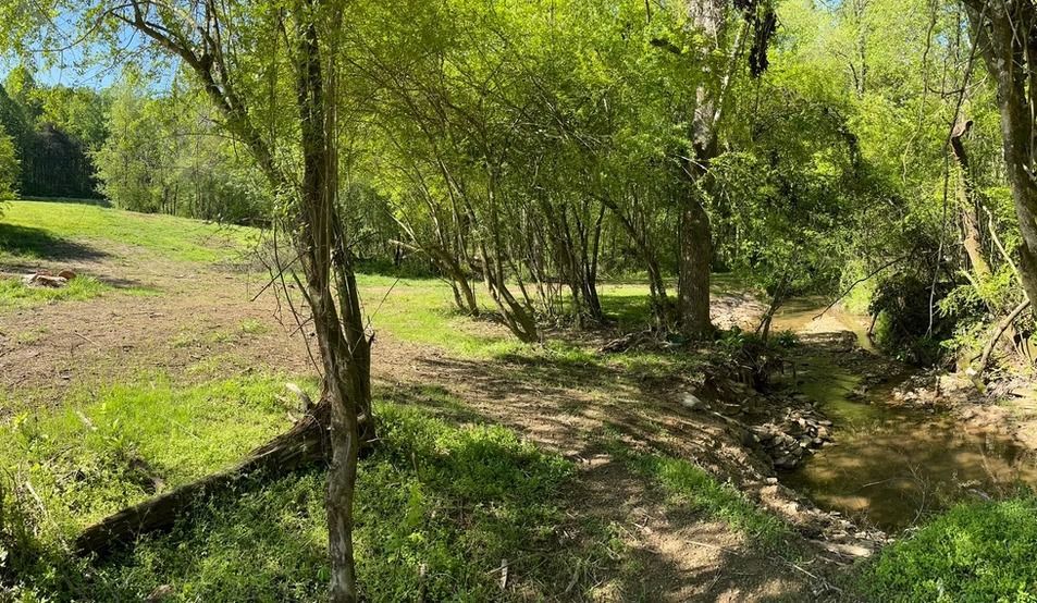 A dirt path going through a lush green forest with trees and grass.