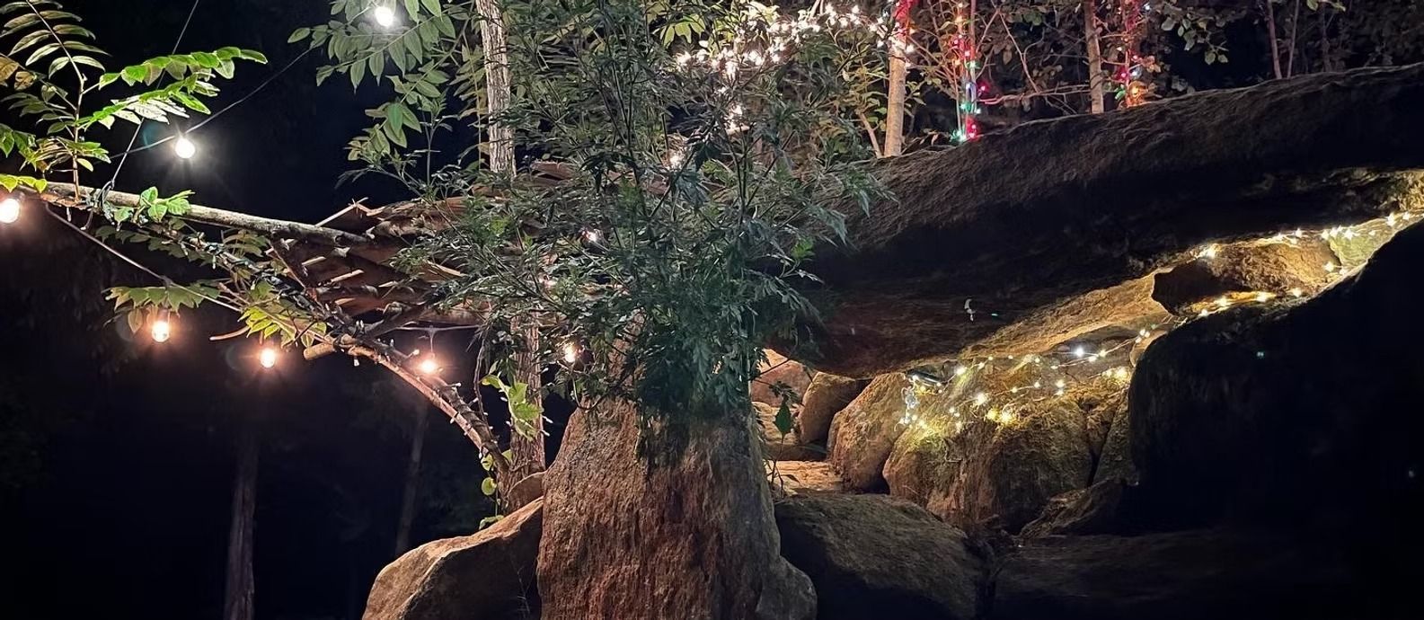 A tree with christmas lights hanging from it is lit up at night.