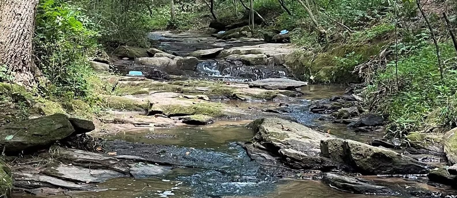 A stream running through a lush green forest surrounded by rocks and trees.