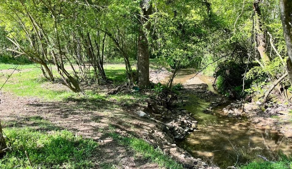 A small stream running through a lush green forest.